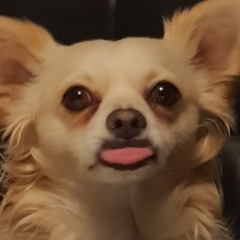 Player rekonz avatar